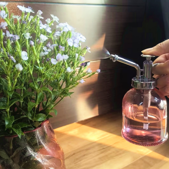 Glass plant mister for garden GZ2184